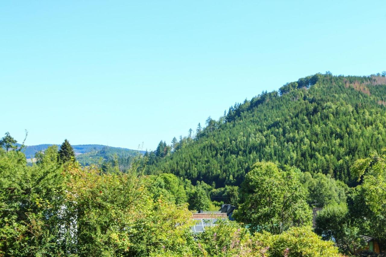 Ferienwohnung Schoene Aussicht Am Rothaarsteig Bad Laasphe Exterior photo